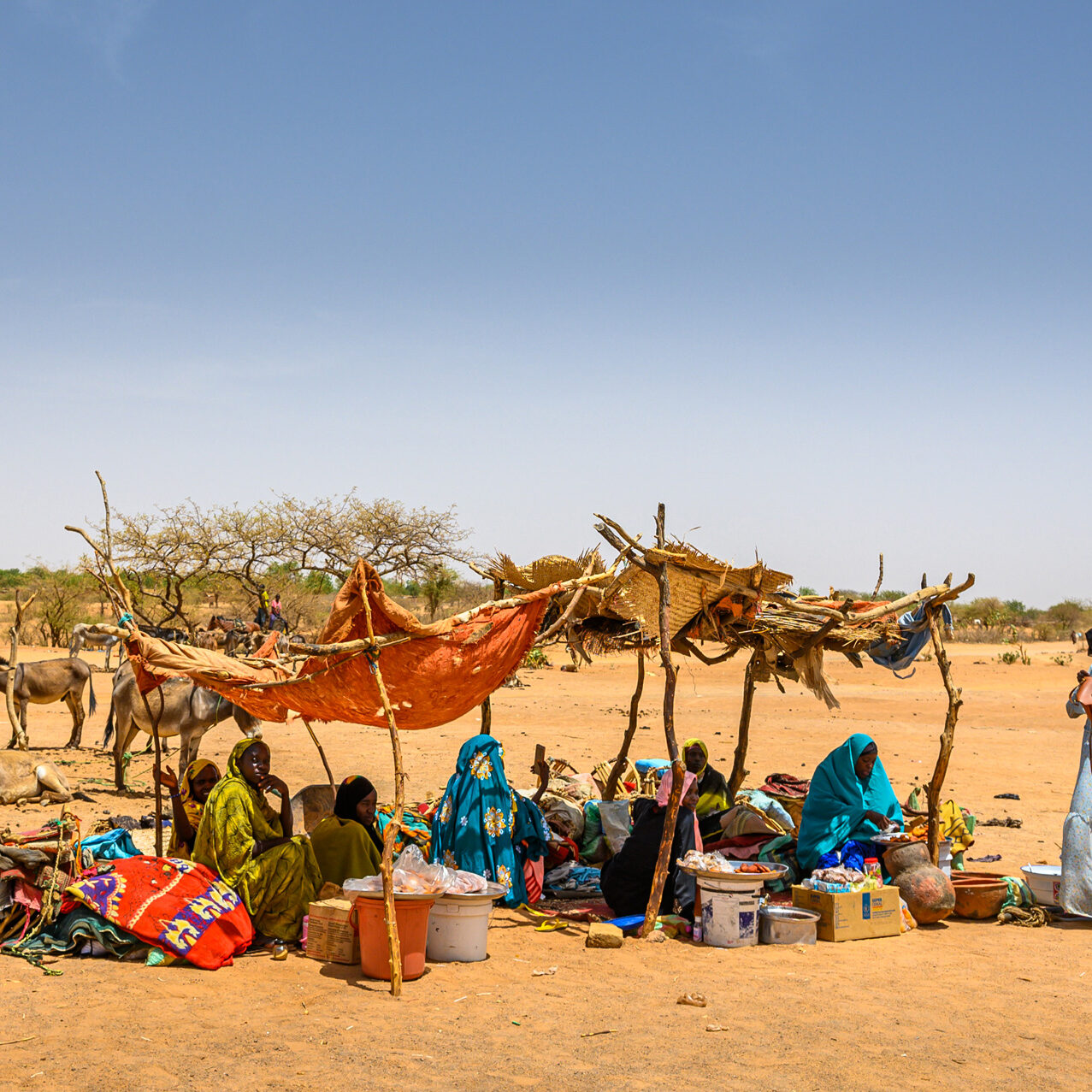 © 2024 World Vision/Jon Warren